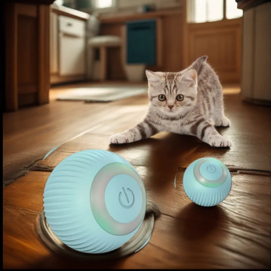 balle interactive pour chat, divertissez votre chat