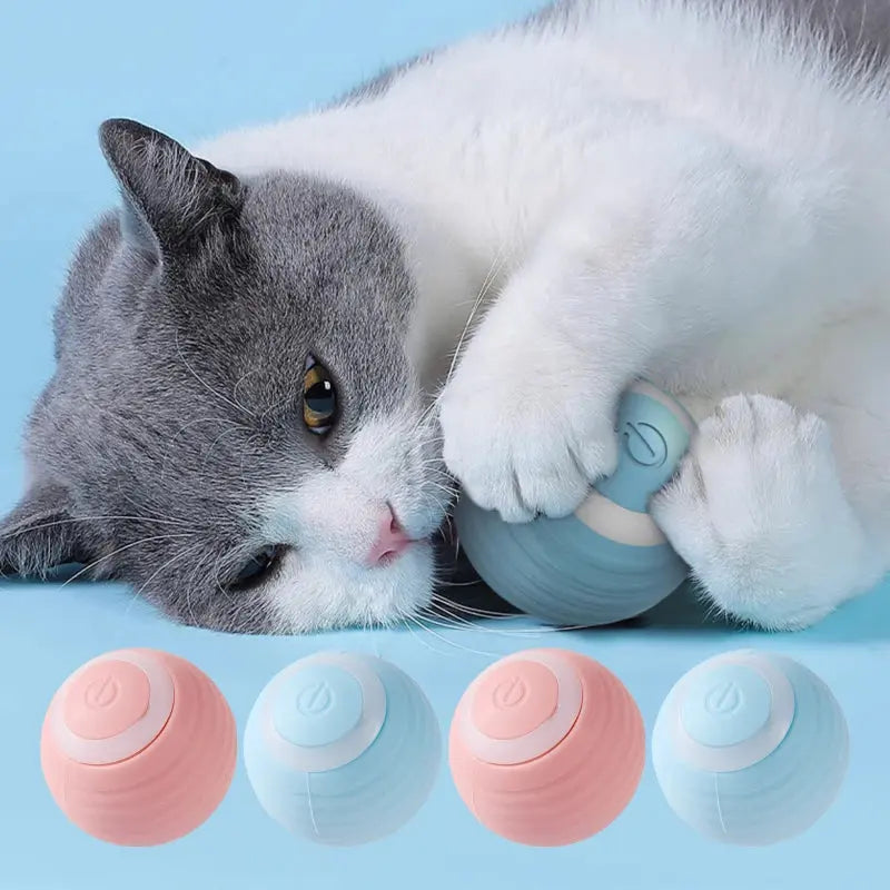 balle interactive pour chat bleu rose